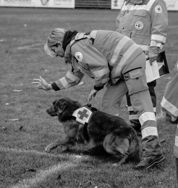 Mittel (578646615_1258931616277995_5785980425709247489_n)