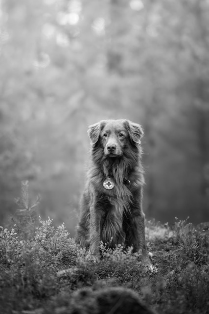 Mittel (578687294_1258931679611322_8578902664895715193_n)